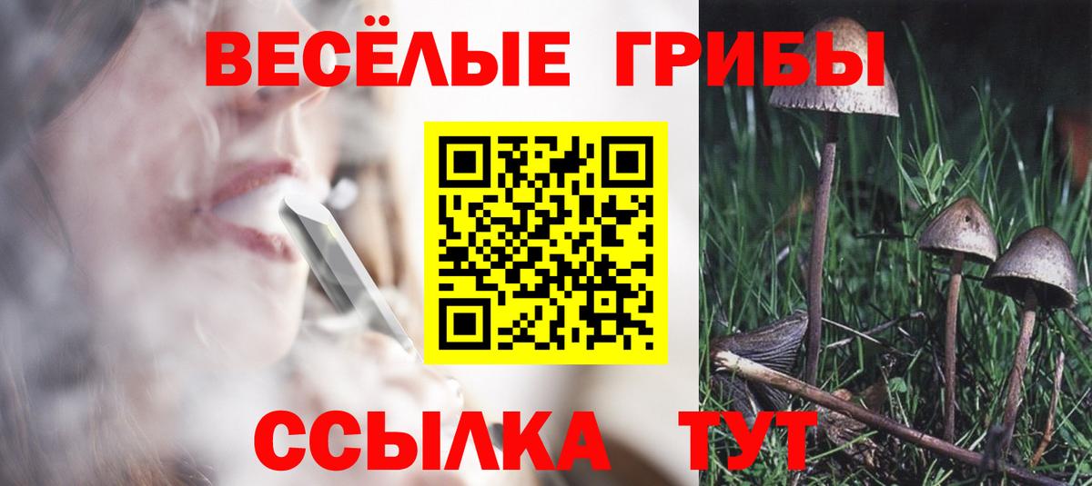 Галлюциногенные грибы Cubensis  Вход с VPN  Урюпинск 
