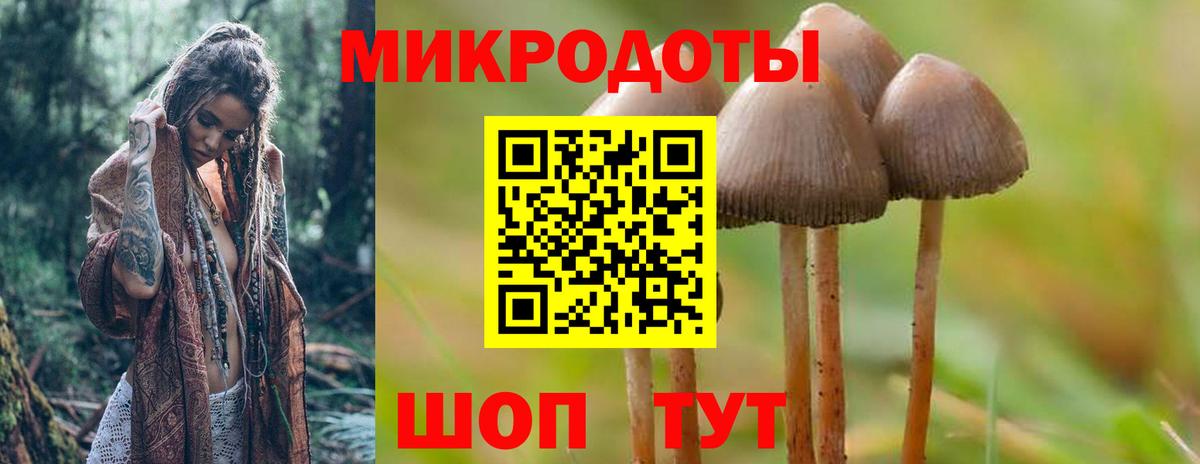 Лсд 25 Урюпинск
