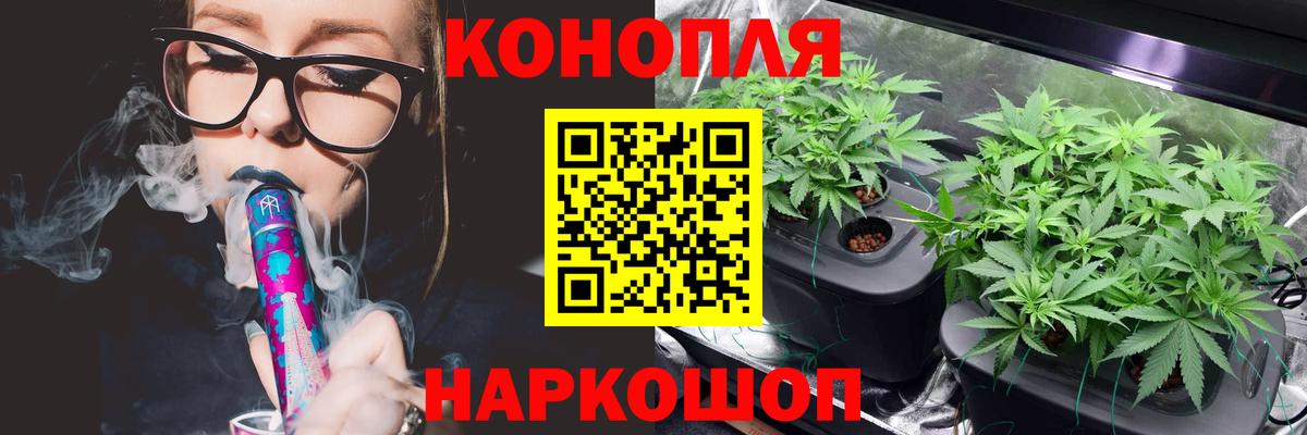 Бошки марихуана планчик Урюпинск